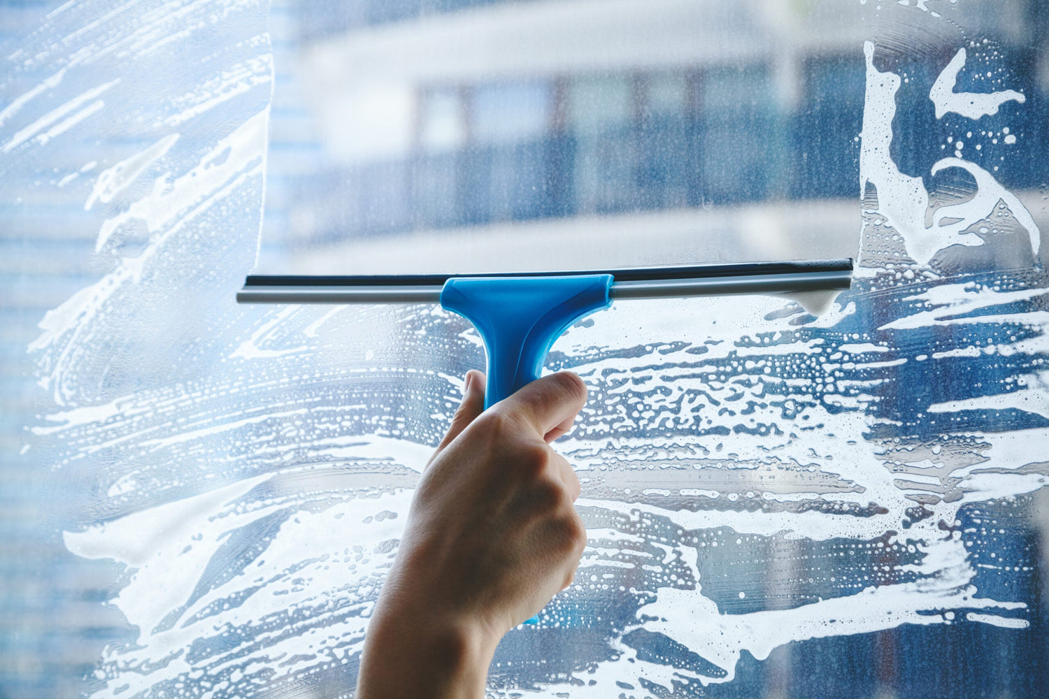 WINDOW CLEANING