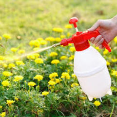 Multi-Purpose Pump Up Sprayer, 66 oz/ 2L