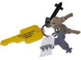 Key fobs, variety, individually sold